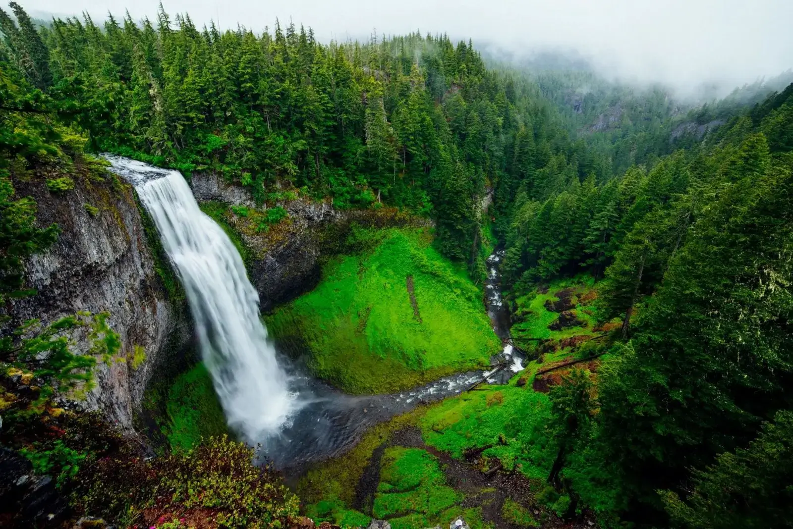 Waterfall cascading through lush green forest.